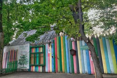 Полет Сокола: поселок художников среди «каменных джунглей»
