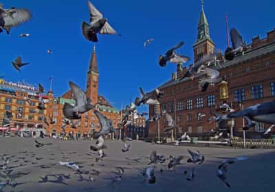 По следам Г.Х. Андерсена в городе шпилей и башен
