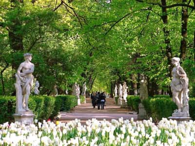 Летний Сад: Райский Сад Петра Великого