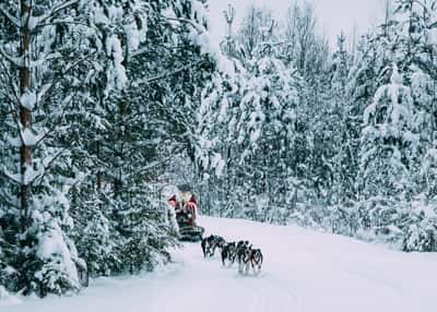 Жемчужное ожерелье Карелии. Тур на новогодние праздники