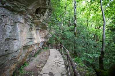 Восторг по-грузински: экскурсия для детей с родителями