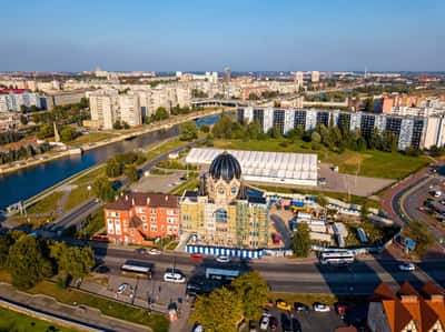 Рыбный Кенигсберг и 12 оттенков пенного