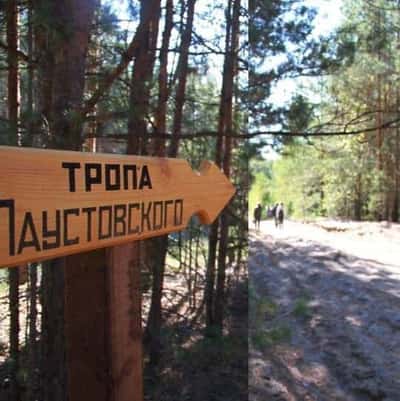 Солотча: жемчужина Мещеры
