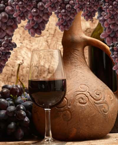 В самое сердце Кахетии - Киндзмараули, Сигнахи и вино