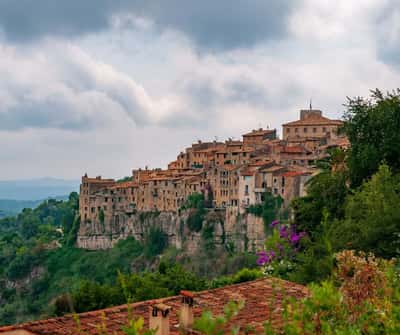 Вкус Прованса за 5 часов