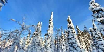 Путешествие на Кольский полуостров за Северным сиянием