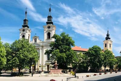 Винно-гастрономическая экскурсия Нови-сад - Сремские Карловцы