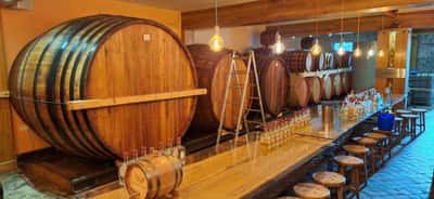 О культуре Сербии через её напитки