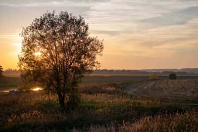 Прогулка по Звенигороду с посещением храмов и Ново-Иерусалимского монастыря