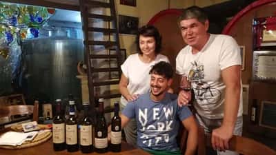 Аутентичная винодельня: знакомство с винами Вальполичелла и Амароне