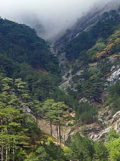 Ай Петри и морская прогулка