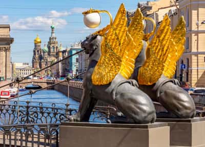 В Петербург с детьми на майские праздники