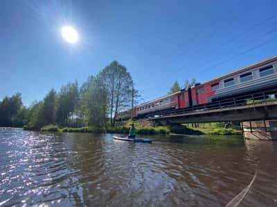 Прогулка на сапах по реке Сестра в Сестрорецке