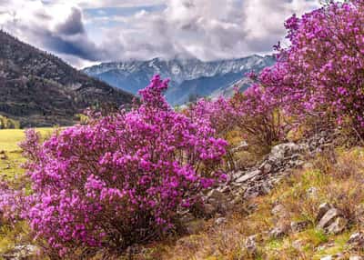 Майские праздники на Алтае