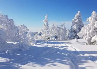 Лучшая зима на Сахалине