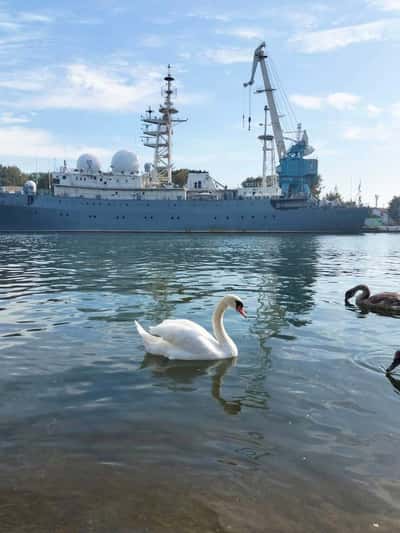 Прогулка по побережью Балтийского моря - Балтийск, Янтарный, Светлогорск