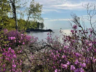 Каменный пляж: пешая прогулка по берегу Байкала