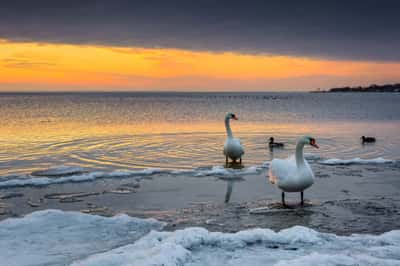 Балтийск - военная база на самом западе России (с посещением косы)