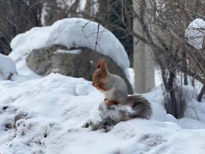 Уникальный природный парк Ала-Арча