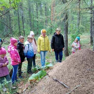 Тур по экотропе «Вековая сосна - Пугачевская пещера»