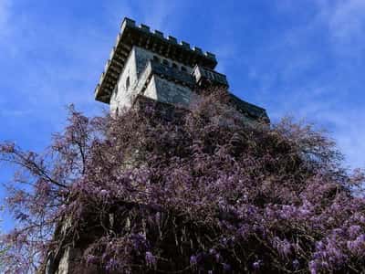 Обзорная экскурсия по Сочи с посещением парка Ривьера и горы Ахун