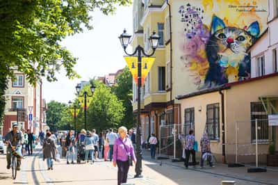 Атмосфера средневековья: Зеленоградск, Светлогорск, Куршская коса