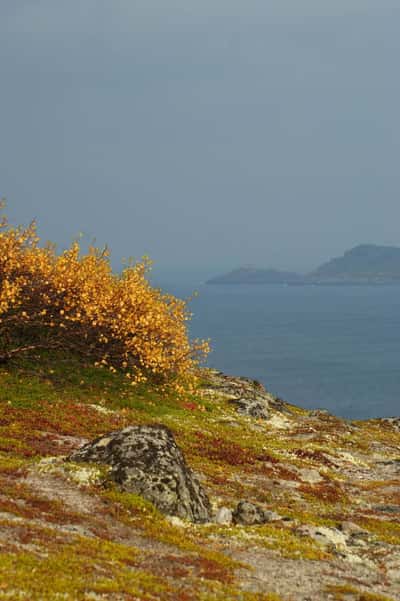 Край северных морей