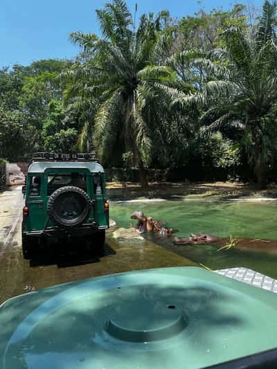 Сафари на джипе по парку Bali Safari and Marine park