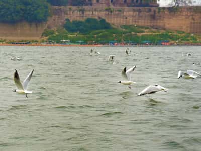 Аллахабад - священный город на слиянии рек (один день)