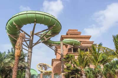 Встреча с дельфинами и билет в аквапарк Aquaventure