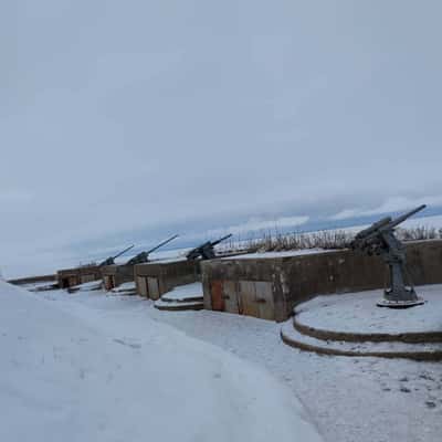 Кронштадт: центр и западная часть - форт Риф