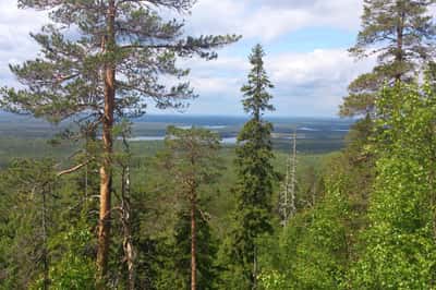 Путешествие в столицу карельского разгуляя