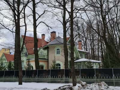 Каменный остров