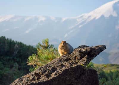 Вся Камчатка за 14 дней. Активный тур без рюкзаков