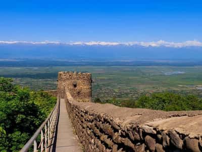 Винными тропами Грузии - Кахетия