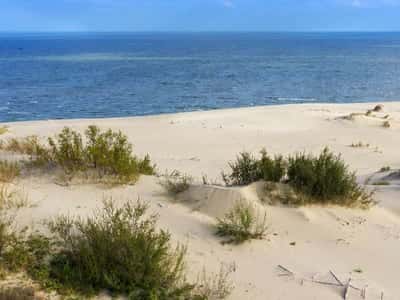 Куршская коса: вдохновение и перезагрузка