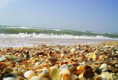 Грязевой тур на Азовское море: Вулкан Гефест, пляж в ст. Голубицкая