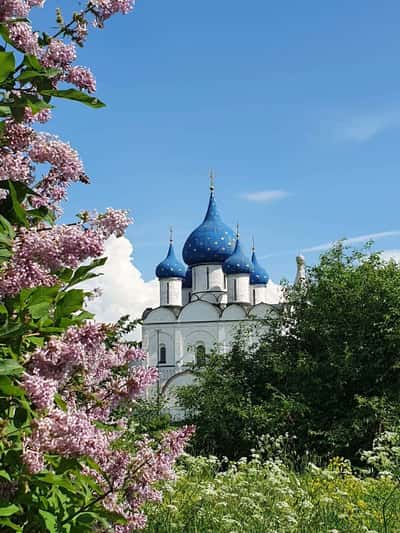 Прогулка по городу с коренным суздальцем