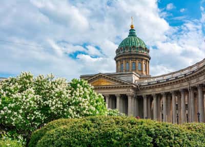 Парадный Петербург. Тур на 7 дней