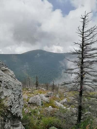 В настоящую тайгу на один день