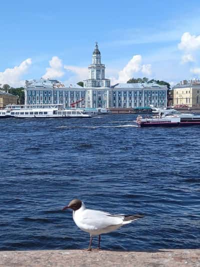 Петербург в одном взгляде: увидеть Петербург и посетить Эрмитаж