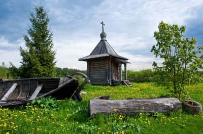 В гости к русскому Хагриду