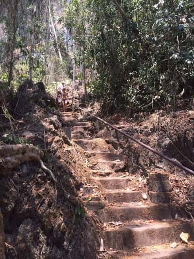 Путешествие по джунглям в поисках «Следа Будды»