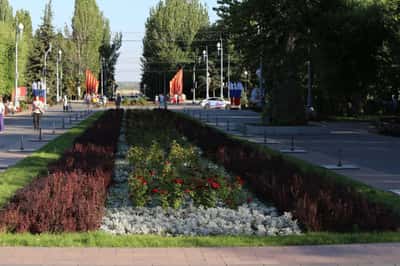 Знакомьтесь: Волгоград