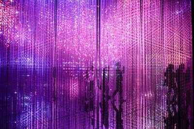 Билет в teamLab Phenomena - мир искусства и технологий (на английском)
