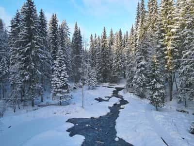 Новый год по-карельски: игры с Дедом Морозом, питомник хаски и Рускеала