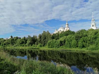 Привези мне из Торжка