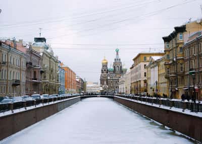 Волшебные мгновения Рождества в Санкт-Петербурге