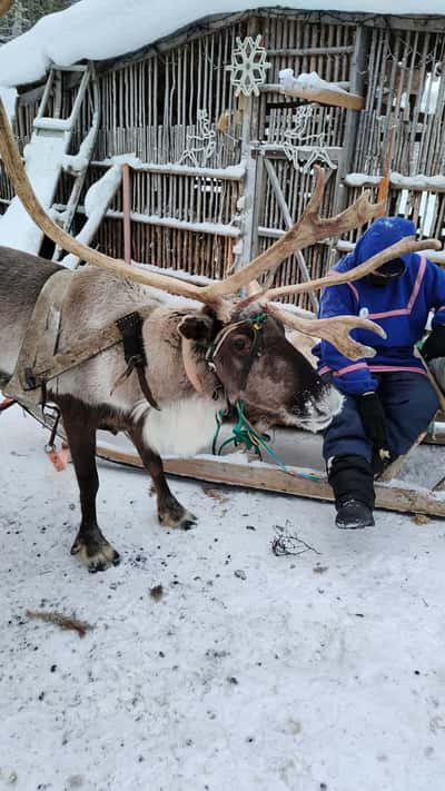 Кировск, Хибины и этническая деревня за один день