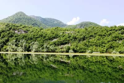 Рыбалка на Скадарском озере